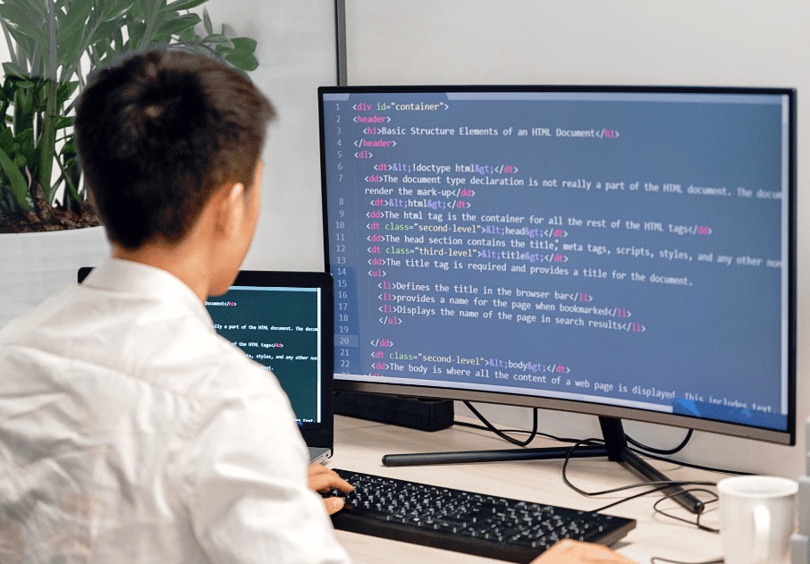 disentec-custom-software